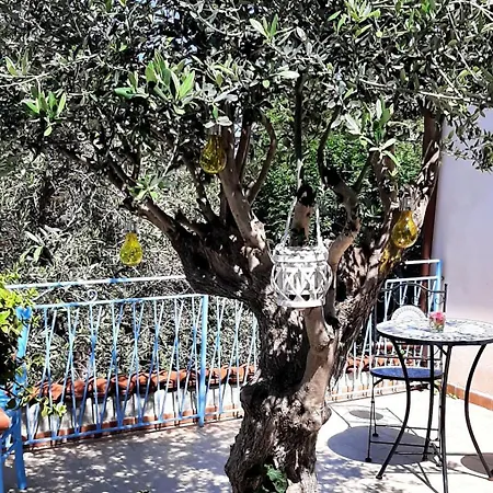 بيت للعطل La Casetta Degli Ulivi باليرمو
