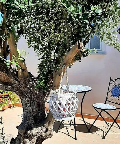 La Casetta Degli Ulivi *